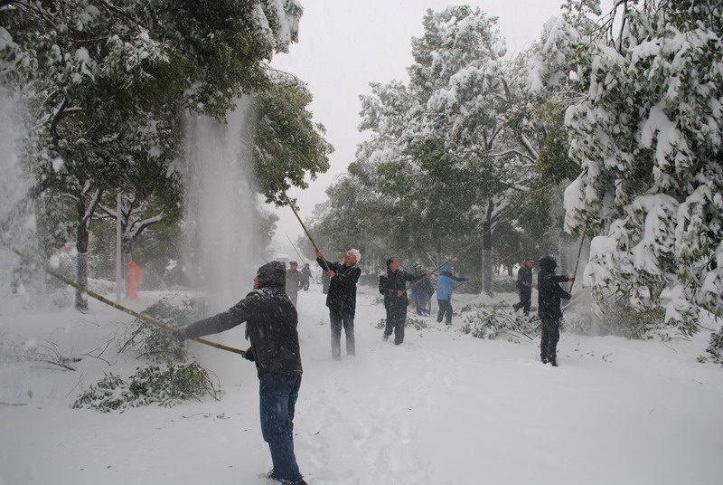 淮南師范學院召開抗雪防災工作會議，加強校園安全工作