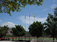 重慶幼兒師范高等專科學(xué)校沙河校區(qū)歷年招生錄取分?jǐn)?shù)線