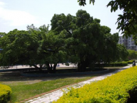 贛南師范學(xué)院科技學(xué)院2023年學(xué)費、收費多少