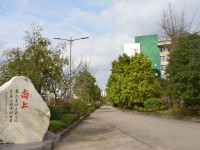 重慶市墊江縣幼師職業(yè)教育中心2023年招生錄取分數線