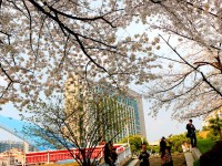 浙江工業(yè)師范大學朝暉校區(qū)2023年招生錄取分數(shù)線