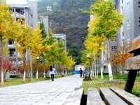 吉首師范大學(xué)張家界學(xué)院2023年招生錄取分數(shù)線