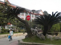 四川大學(xué)師范學(xué)院望江校區(qū)2023年學(xué)費(fèi)、收費(fèi)多少