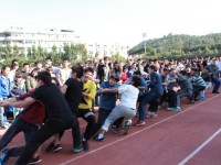 廈門(mén)城市師范職業(yè)學(xué)院學(xué)院2023年學(xué)費(fèi)、收費(fèi)多少