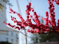 山東威海藝術(shù)幼兒師范學校2023年學費、收費多少