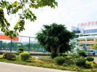 廣西大學(xué)行健文理師范學(xué)院2023年學(xué)費(fèi)、收費(fèi)多少