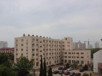 河北對(duì)外經(jīng)貿(mào)師范職業(yè)學(xué)院2023年學(xué)費(fèi)、收費(fèi)多少