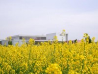 寧波大學(xué)科學(xué)技術(shù)師范學(xué)院2023年招生錄取分?jǐn)?shù)線(xiàn)