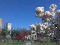 河北正定師范高等?？茖W(xué)校2023年招生錄取分?jǐn)?shù)線