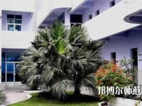四川信息工程幼兒師范學(xué)校2023年報(bào)名條件、招生要求、招生對(duì)象
