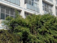 貴州貴陽中山科技幼兒師范學(xué)校2023年學(xué)費(fèi)、收費(fèi)多少