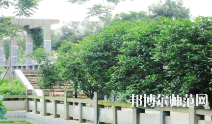 德陽(yáng)通用電子科技幼兒師范學(xué)校2020年報(bào)名條件、招生要求、招生對(duì)象