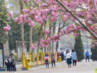 石家莊法商幼兒師范中等專業(yè)學(xué)校2023年學(xué)費(fèi)、收費(fèi)多少