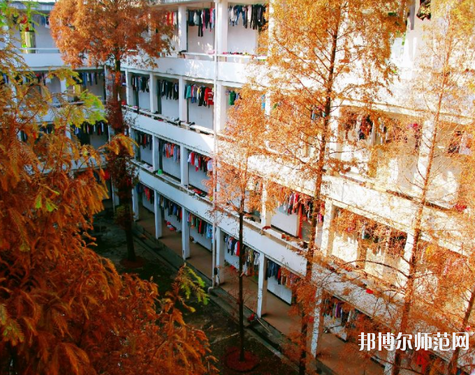 湖南2020年幼師學校算什么學歷