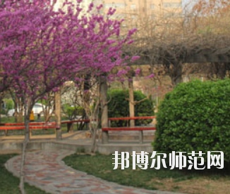 鄭州2020年幼師學(xué)?？梢詫W(xué)什么