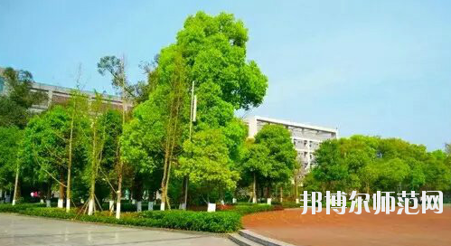 重慶市九龍坡幼師職業(yè)教育中心怎么樣、好不好。