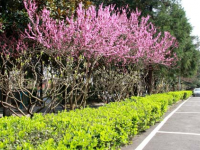 大同師范高等?？茖W(xué)校2023年招生錄取分?jǐn)?shù)線