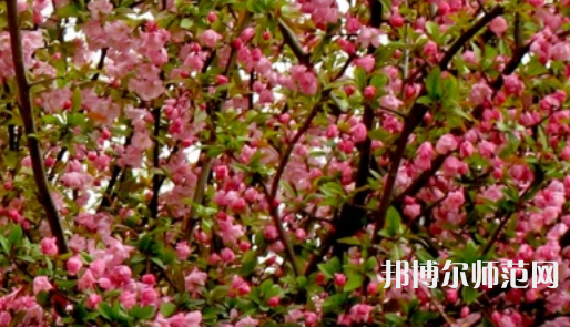 鄭州大學(xué)師范學(xué)院南校區(qū)2023年怎么樣、好不好