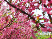 鄭州大學(xué)師范學(xué)院主校區(qū)2023年報名條件、招生要求、招生對象