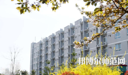 周口職業(yè)技術(shù)師范學(xué)院開(kāi)元校區(qū)2023年怎么樣、好不好