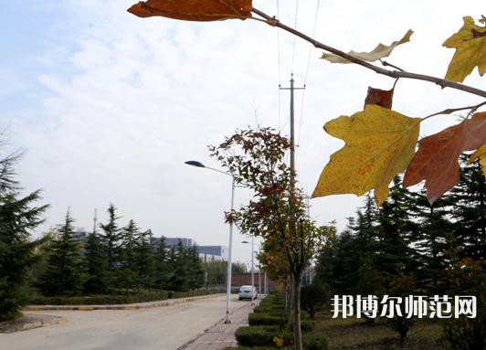 陜西職業(yè)技術(shù)師范學(xué)院2023年報名條件、招生要求、招生對象 