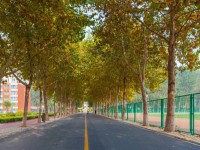 聊城師范大學(xué)東昌學(xué)院2023年報(bào)名條件、招生要求、招生對(duì)象