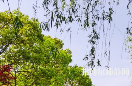 南陽理工師范學(xué)院2023年報名條件、招生要求、招生對象
