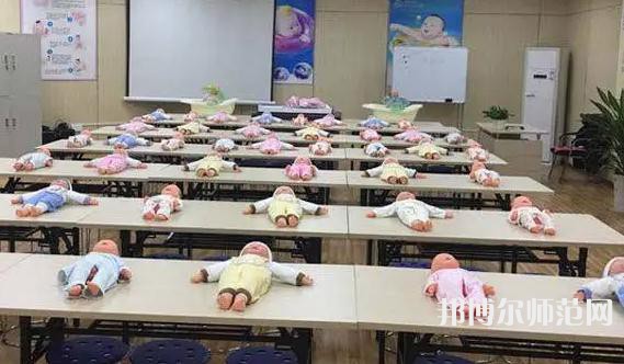 鎮(zhèn)安幼師職業(yè)技術(shù)教育中心2023年有哪些專(zhuān)業(yè)