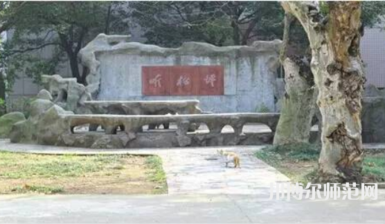 浙江師范大學行知學院師大校區(qū)2023年招生計劃