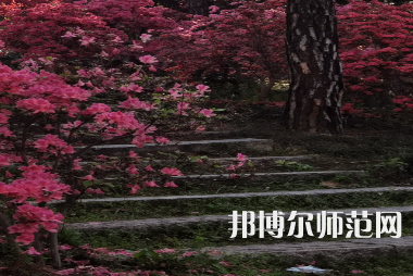 信陽(yáng)師范學(xué)院華銳學(xué)院2023年報(bào)名條件、招生要求、招生對(duì)象