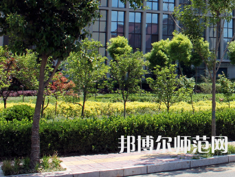 安陽幼兒師范高等?？茖W校2023年有哪些專業(yè)