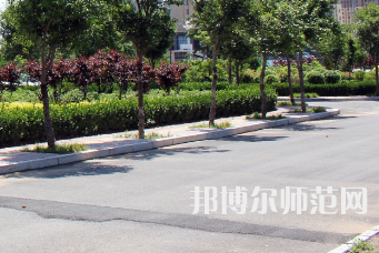 安陽幼兒師范高等?？茖W校2023年有哪些專業(yè)