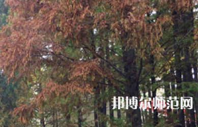 信陽師范學(xué)院2023年怎么樣、好不好