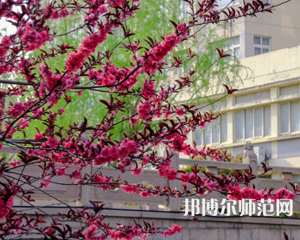 蘇州科技師范大學天平學院2023年報名條件、招生要求、招生對象