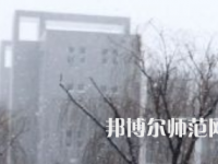 焦作師范高等?？茖W(xué)校2023年招生代碼