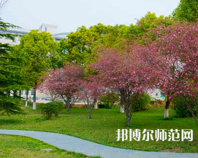 鹽城工師范學(xué)院建軍東路校區(qū)2023年報(bào)名條件、招生要求、招生對(duì)象