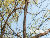 湖南大學(xué)師范學(xué)院南校區(qū)2023年怎么樣、好不好