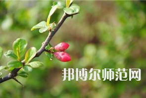 西安幼兒師范職業(yè)學(xué)校2023年學(xué)費(fèi)、收費(fèi)多少