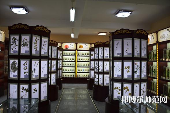 銅川職業(yè)技術(shù)師范學(xué)院2023年學(xué)費(fèi)、收費(fèi)多少