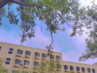 青島師范大學(xué)浮山校區(qū)2023年報(bào)名條件、招生要求、招生對(duì)象