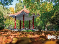 黑龍江師范大學(xué)2023年報(bào)名條件、招生要求、招生對象