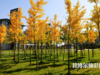 寧夏民族職業(yè)技術(shù)師范學(xué)院2023年怎么樣、好不好