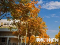 南京師范大學(xué)泰州學(xué)院2023年報(bào)名條件、招生要求、招生對(duì)象