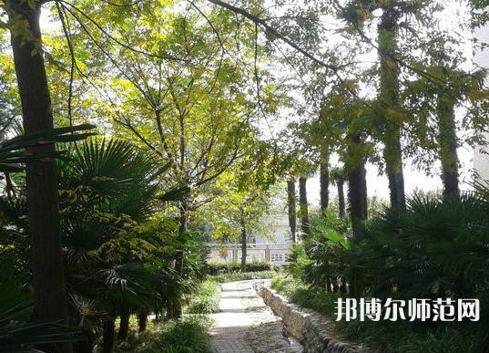 西北大學師范學院桃園校區(qū)2023年怎么樣、好不好