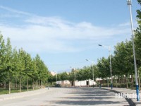西北大學(xué)師范學(xué)院太白校區(qū)2023年報(bào)名條件、招生要求、招生對象