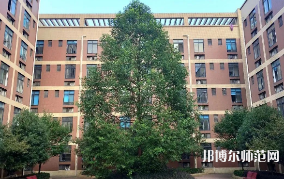 四川師范大學(xué)成都學(xué)院眉山校區(qū)2023年怎么樣、好不好