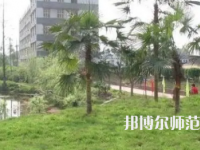 2023年瀘州天宇幼師中等職業(yè)技術(shù)學(xué)校報(bào)名條件、招生對(duì)象